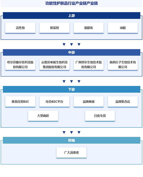 中國功能性護(hù)膚品行業(yè)分析 政策、市場集中度、競爭格局與發(fā)展趨勢預(yù)測